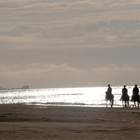 Κατάλυμα σε φάρμα Nordkap Farm &