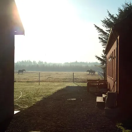 Stald Nordkap * Bindslev