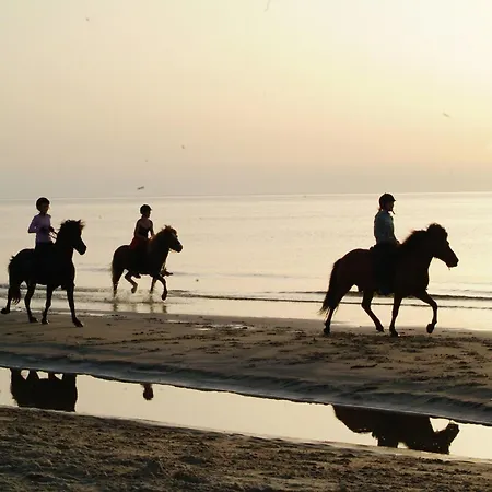 Κατάλυμα σε φάρμα Nordkap Farm &