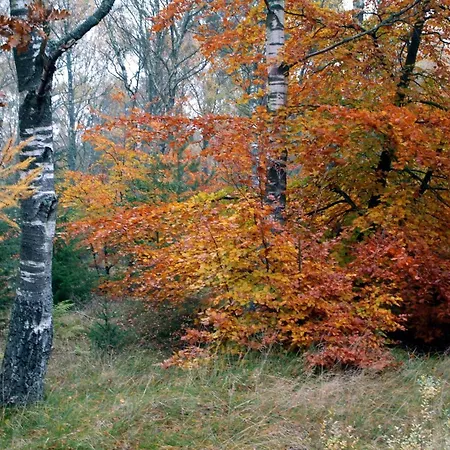 Stald Nordkap Bindslev