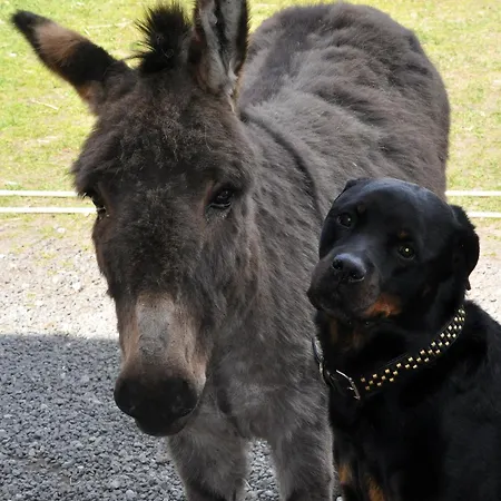Nordkap Farm & Bindslev