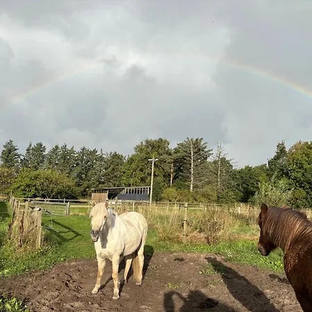 Stald Nordkap Farmház