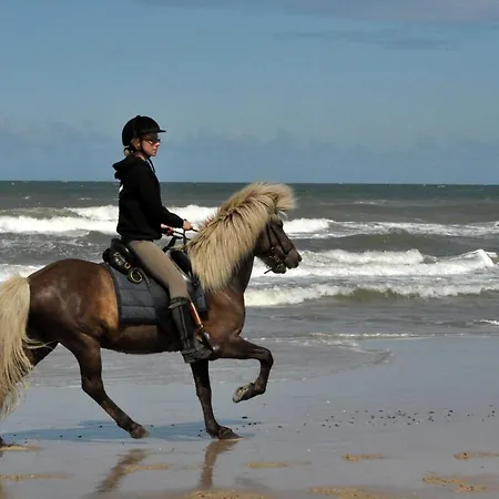 Nordkap Farm & Farmház *