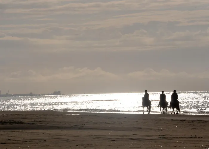 Alojamento de Turismo Rural Nordkap Farm &