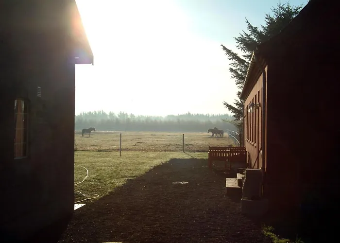 Nordkap Farm & * Bindslev