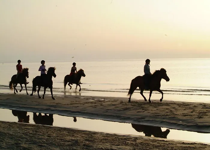 Alojamento de Turismo Rural Nordkap Farm &