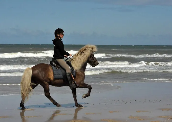 Nordkap Farm & Alojamento de Turismo Rural *