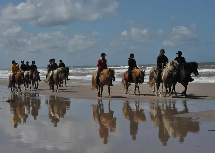 Alojamento de Turismo Rural Nordkap Farm & *